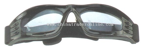 Ski Goggles from China